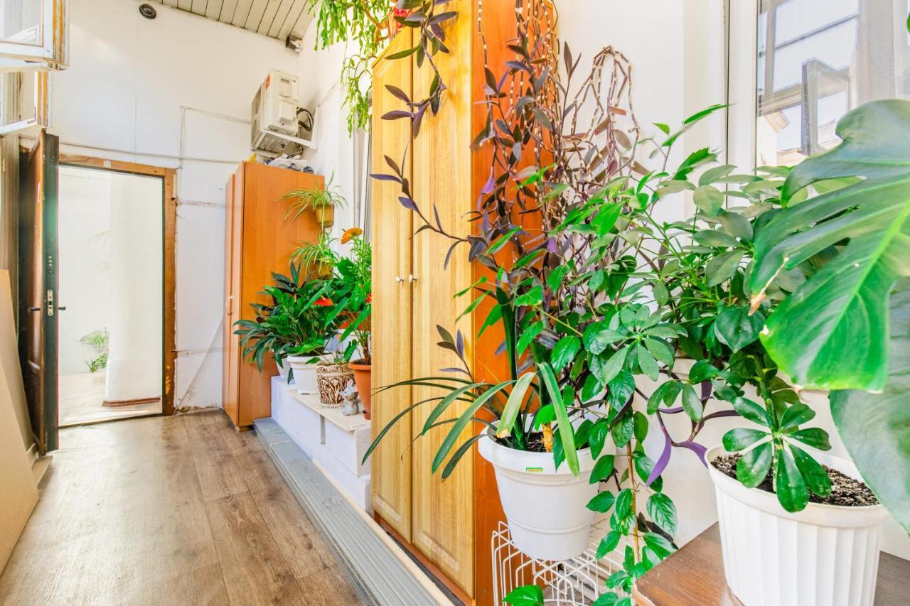 Best Apartment In The City Centre Одесса Экстерьер фото